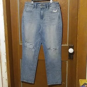 Arizona High Rise Distressed Straight Leg Jr 13